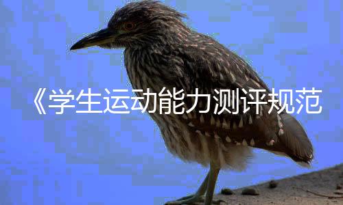 《學(xué)生運(yùn)動(dòng)能力測(cè)評(píng)規(guī)范》國(guó)家標(biāo)準(zhǔn)如何重塑體育課？