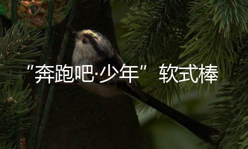 “奔跑吧·少年”軟式棒壘球聯(lián)賽總決賽在鄂爾多斯開幕