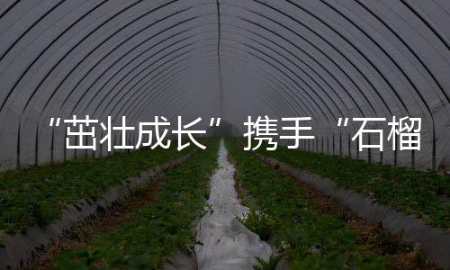 “茁壯成長”攜手“石榴籽”一起做公益 上好體育課，講好普通話