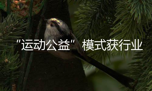 “運(yùn)動(dòng)公益”模式獲行業(yè)認(rèn)可，Keep榮獲第十三屆公益節(jié)兩大獎(jiǎng)項(xiàng)
