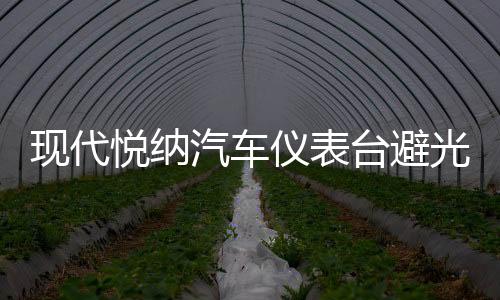 現(xiàn)代悅納汽車儀表臺(tái)避光墊中控工作盤(pán)防曬遮陽(yáng)防滑墊改裝用品配件