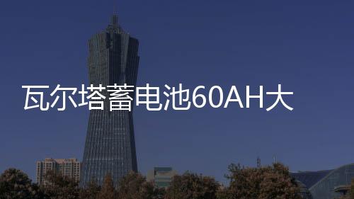 瓦爾塔蓄電池60AH大眾朗逸速騰捷達途觀夏朗POLO邁騰原裝汽車電瓶
