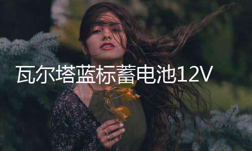瓦爾塔藍(lán)標(biāo)蓄電池12V60ah適配大眾朗逸寶來捷達POLO速騰L2400電瓶