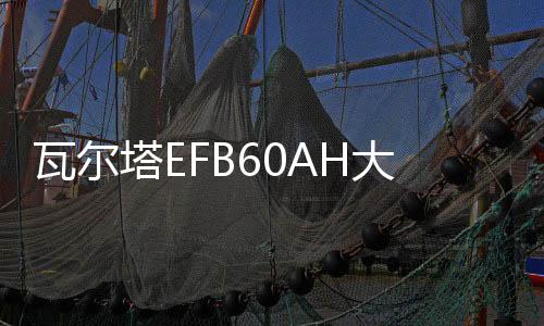 瓦爾塔EFB60AH大眾朗逸plus新寶來POLO捷達新桑塔納原裝啟停電瓶