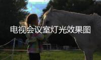 電視會(huì)議室燈光效果圖