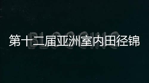 第十二屆亞洲室內(nèi)田徑錦標(biāo)賽收官 中國(guó)隊(duì)10金領(lǐng)跑獎(jiǎng)牌榜