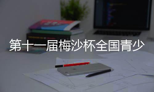 第十一屆梅沙杯全國(guó)青少年帆船聯(lián)賽廈門站開賽