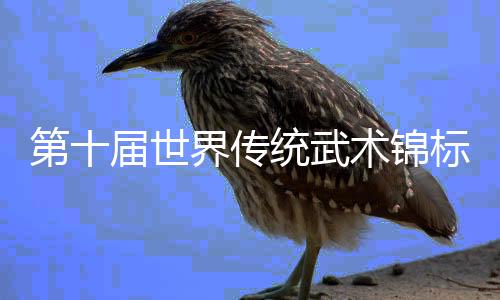 第十屆世界傳統(tǒng)武術(shù)錦標(biāo)賽在峨眉山開(kāi)幕 李連杰吳京交接形象大使