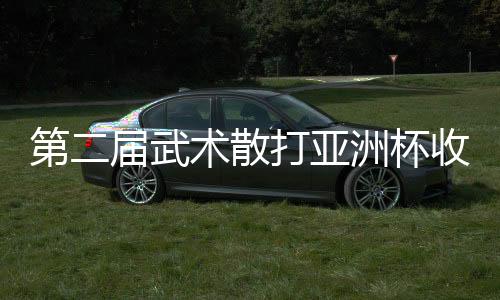 第二屆武術(shù)散打亞洲杯收官：中國(guó)隊(duì)奪9金2銀居榜首