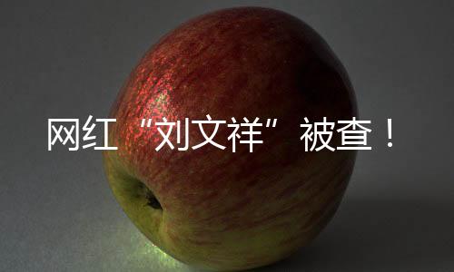 網(wǎng)紅“劉文祥”被查！