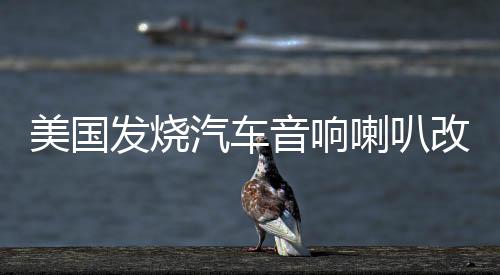 美國(guó)發(fā)燒汽車音響喇叭改裝6.5寸套裝車載音響重低音炮無(wú)損揚(yáng)聲器
