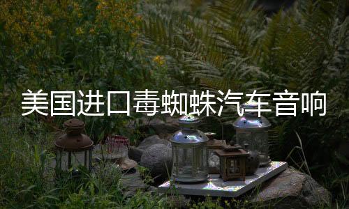 美國進口毒蜘蛛汽車音響改裝套裝飛度6.5寸套裝喇叭四門高低音DSP