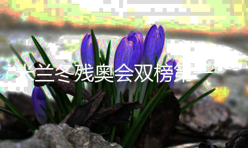 米蘭冬殘奧會(huì)雙榜第一 中國(guó)殘奧冰雪運(yùn)動(dòng)書寫新章