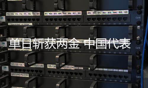 單日斬獲兩金 中國代表團(tuán)創(chuàng)冬殘奧會境外參賽最佳成績