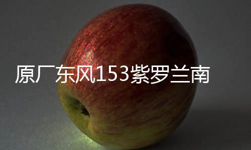 原廠東風153紫羅蘭南駿1063小財神145大運嘉龍前大燈總成霧燈總成