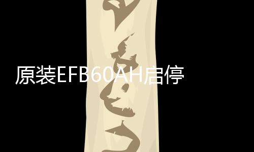 原裝EFB60AH啟停電瓶適配傳祺GS4/GA6長(zhǎng)城哈佛H6/H2/M6汽車蓄電池