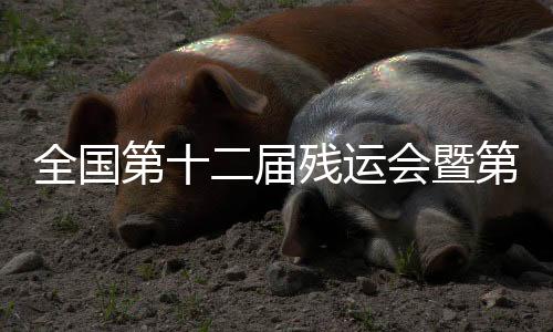 全國(guó)第十二屆殘運(yùn)會(huì)暨第九屆特奧會(huì)高山滑雪比賽將在烏魯木齊舉辦
