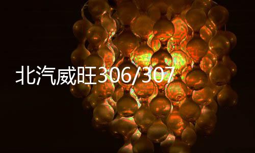 北汽威旺306/307滑輪中側(cè)門上中下合頁鉸鏈導輪走輪汽車滑輪配件