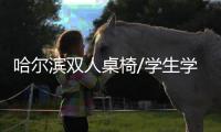 哈爾濱雙人桌椅/學(xué)生學(xué)習(xí)桌椅/中信辦公出品
