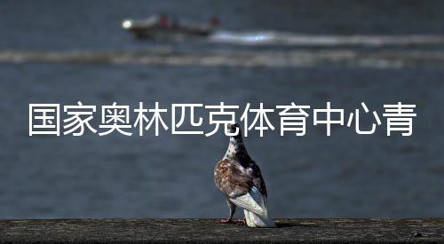 國(guó)家奧林匹克體育中心青年支教團(tuán)隊(duì)來(lái)桑植縣開展幫扶支教活動(dòng)