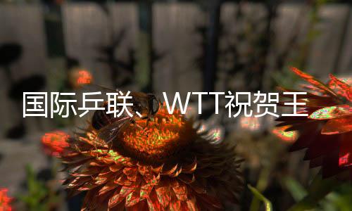 國際乒聯(lián)、WTT祝賀王勵(lì)勤當(dāng)選中國乒協(xié)主席 向劉國梁致謝