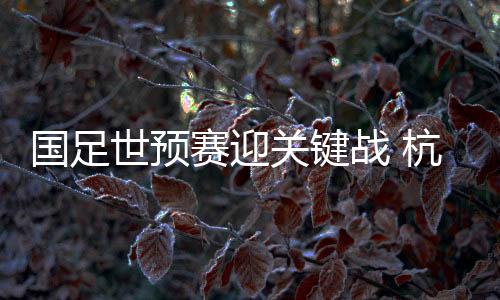 國(guó)足世預(yù)賽迎關(guān)鍵戰(zhàn) 杭州主場(chǎng)花式“寵”球迷