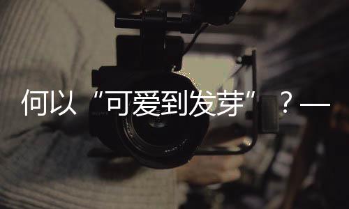 何以“可愛到發(fā)芽”？——十五運會吉祥物誕生記