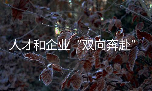 人才和企業(yè)“雙向奔赴”！全國青年職業(yè)技能大賽學(xué)生組決賽閉幕
