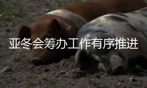 亞冬會籌辦工作有序推進(jìn) 比賽場館進(jìn)行實(shí)戰(zhàn)化測試演練