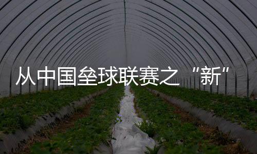 從中國壘球聯(lián)賽之“新” 看國內(nèi)壘球發(fā)展沉淀之“果”