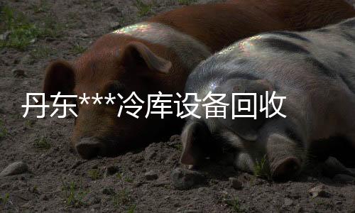 老人助聽器哪個(gè)牌子好