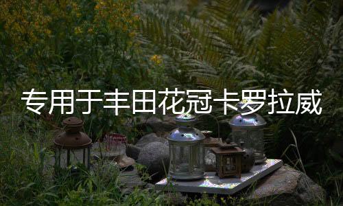 專用于豐田花冠卡羅拉威馳雷凌汽車音響喇叭中重低音后門后排改裝