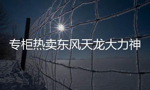 專(zhuān)柜熱賣(mài)東風(fēng)天龍大力神天錦汽車(chē)貨車(chē)駕駛室座椅彈簧海綿坐墊總成