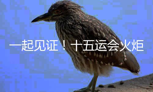 一起見證！十五運會火炬?zhèn)鬟f啟動儀式在深圳舉行