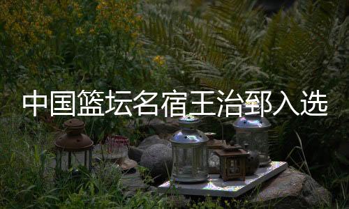中國籃壇名宿王治郅入選2026屆國際籃聯(lián)名人堂