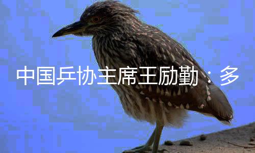 中國(guó)乒協(xié)主席王勵(lì)勤：多哈世乒賽四個(gè)冠軍來(lái)之不易