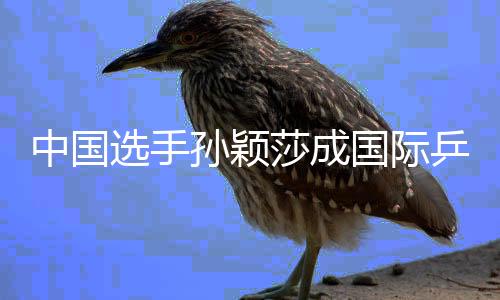 中國(guó)選手孫穎莎成國(guó)際乒聯(lián)現(xiàn)行世界排名積分破萬(wàn)第一人