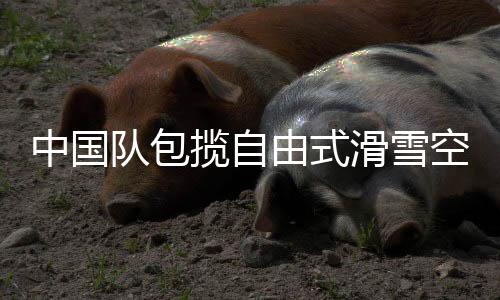 中國隊(duì)包攬自由式滑雪空中技巧世界杯云頂站混合團(tuán)體金銀牌