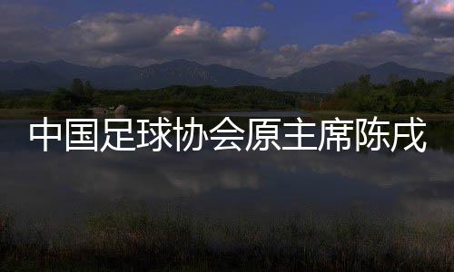 中國(guó)足球協(xié)會(huì)原主席陳戌源受賄一審被判無期徒刑