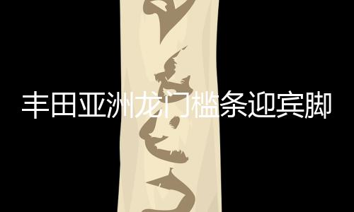 豐田亞洲龍門檻條迎賓腳踏板防踩保護貼車內(nèi)裝飾汽車用品配件改裝