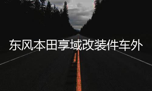 東風本田享域改裝件車外觀專用金屬中網(wǎng)前臉亮條配件防蟲網(wǎng)裝飾條