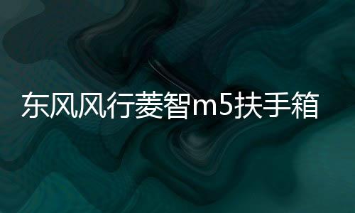東風(fēng)風(fēng)行菱智m5扶手箱專用2021全車改裝V3/m5L免打孔車內(nèi)儲(chǔ)物配件