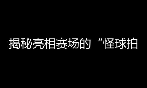 揭秘亮相賽場的“怪球拍”：瑞典選手的球拍為何是六邊形？