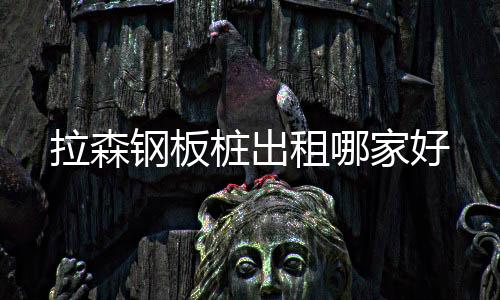 拉森鋼板樁出租哪家好