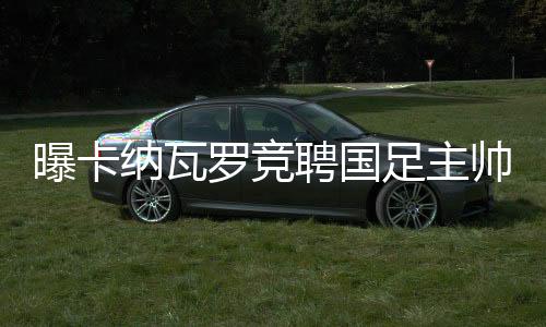 曝卡納瓦羅競聘國足主帥 他能率隊圓夢百年世界杯？