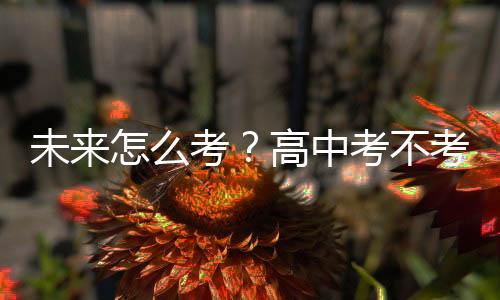 未來(lái)怎么考？高中考不考？——體育中考改革觀察之三