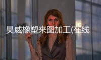昊威橡塑來圖加工(在線咨詢)