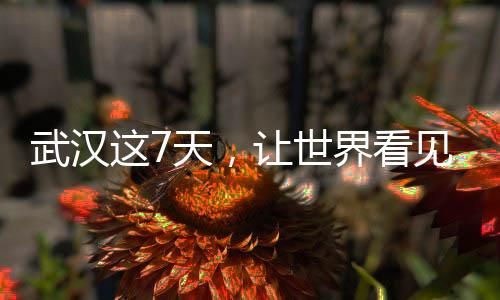 武漢這7天，讓世界看見“無畏金蘭”