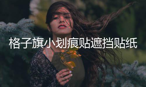 格子旗小劃痕貼遮擋貼紙個性車貼 汽車拉花 前保險杠貼火焰圖騰