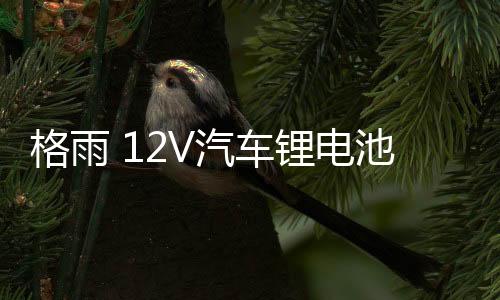 格雨 12V汽車鋰電池 80D26LR S95 100AH大容量磷酸鐵鋰電瓶漢蘭達